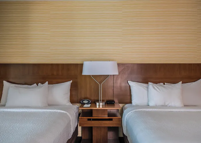 Pet Friendly hotel: Fairfield Inn And Suites Chicago Downtown-River North