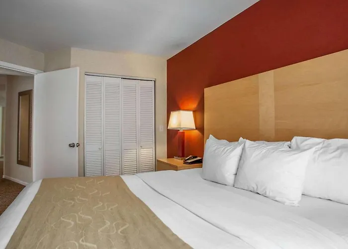 Hotel de golfe: Comfort Suites Michigan Avenue