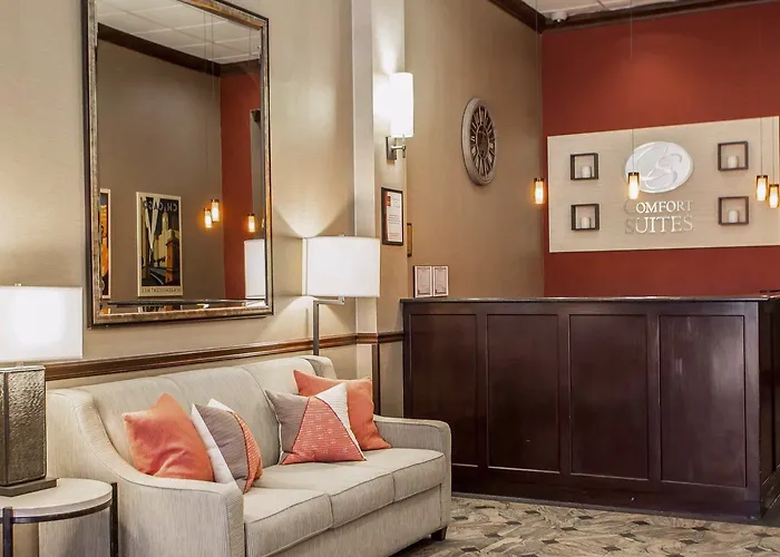 Hotel de golfe: Comfort Suites Michigan Avenue